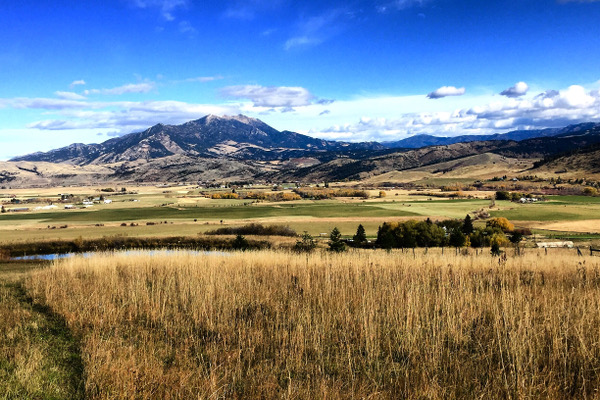 Bozeman, Montana Ranch Sold